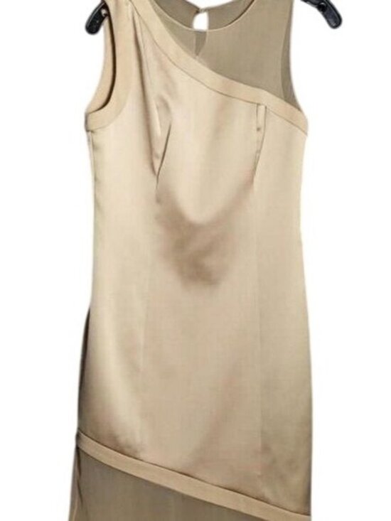 Sally LaPointe Dresses & Skirts - Sally LAPOINTE Vintage Champagne Silk sheath asymmetrical sheer mesh dress